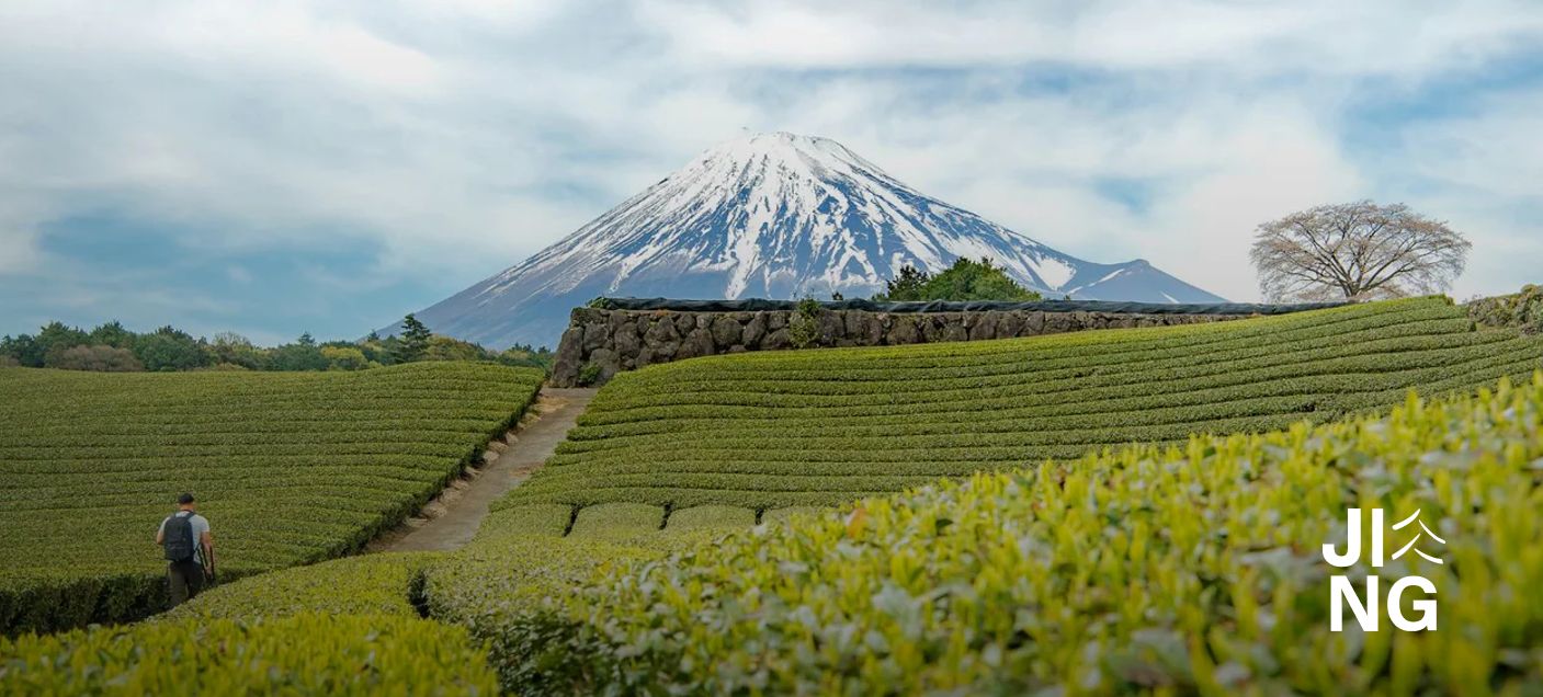 JING Tea | Wielosystemowe raportowanie zarządcze przy pełnej wymianie stosu technologicznego